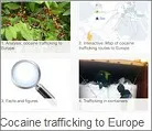 Cocaine trafficking to Europe