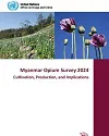 Myanmar Opium Survey 2024: Cultivation, production, and implications