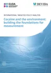 Cocaine and the environment: building the foundations for measurement. International targeted policy analysis