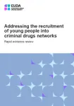 Addressing the recruitment of young people into criminal drugs networks: Rapid evidence review