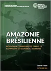 Amazonie brésilienne : nouveaux corridors de trafic et expansion du contrôle criminel
