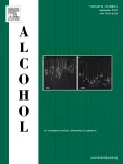 Brief alcohol intervention as pragmatic intervention: Who is voluntarily taking an offered intervention?