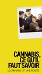 Cannabis, ce qu'il faut savoir
