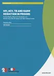 HIV, HCV, TB and harm reduction in prisons. Human rights, minimum standards and monitoring at the European and international levels