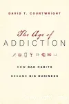 The age of addiction. How bad habits became big business