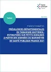 Prévalences départementales du tabagisme quotidien : estimations sur petits domaines à partir des données du Baromètre de Santé publique France 2021
