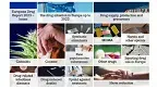 European Drug Report 2023: Trends and developments